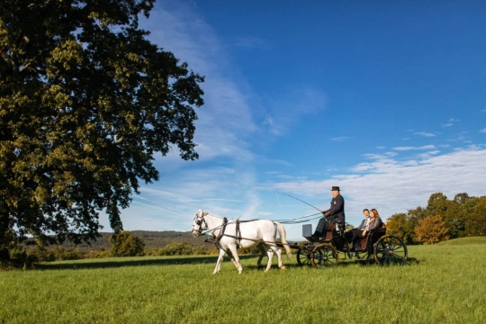 Vožnja z lipiško kočijo