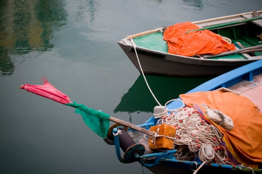 Obisk Ribiškega muzeja in Napoleonove poti
